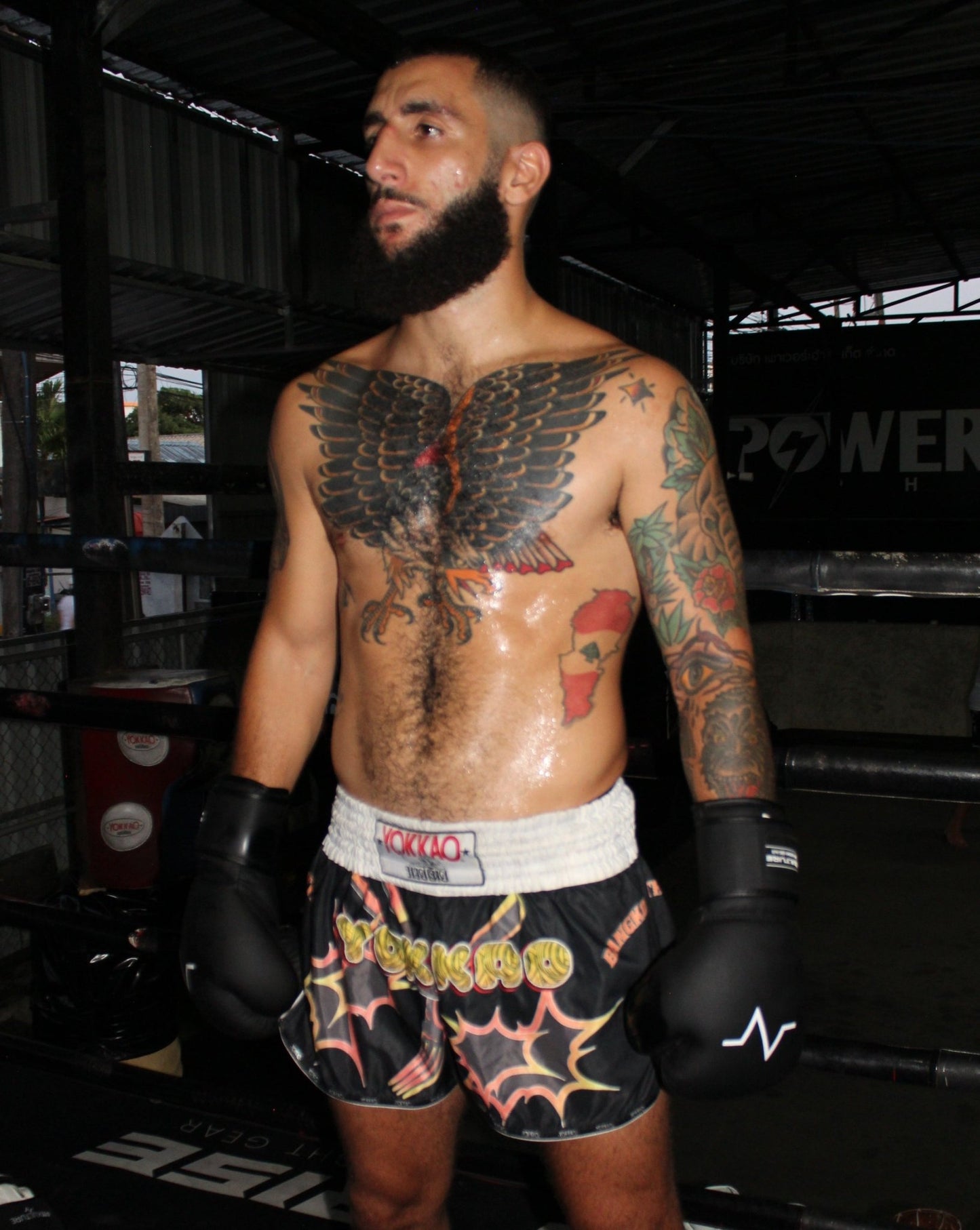Boxing Gloves 14oz - Fit Kulture HQ