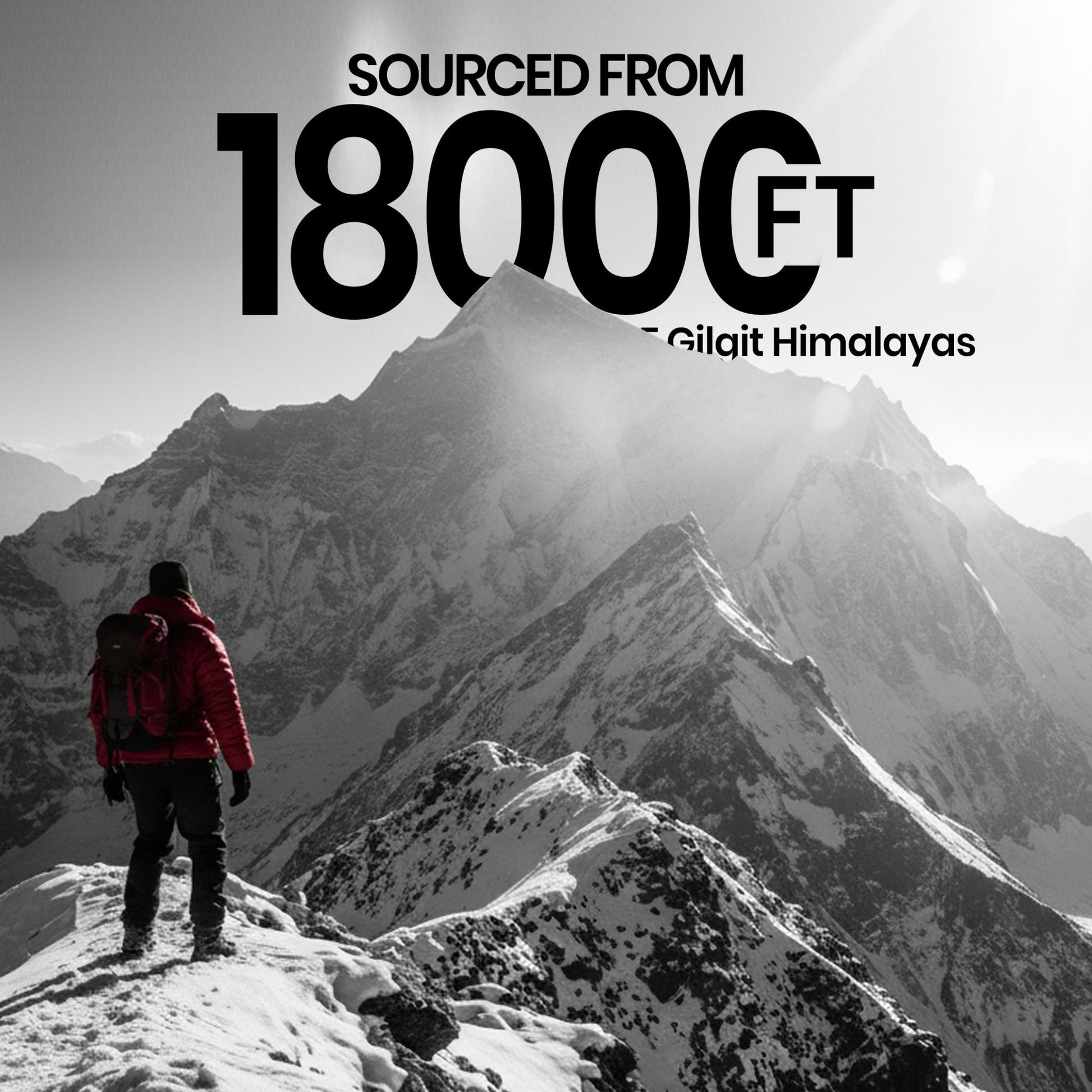 Himalayan Shilajit Resin 30g, 100% Pure - Fit Kulture HQ