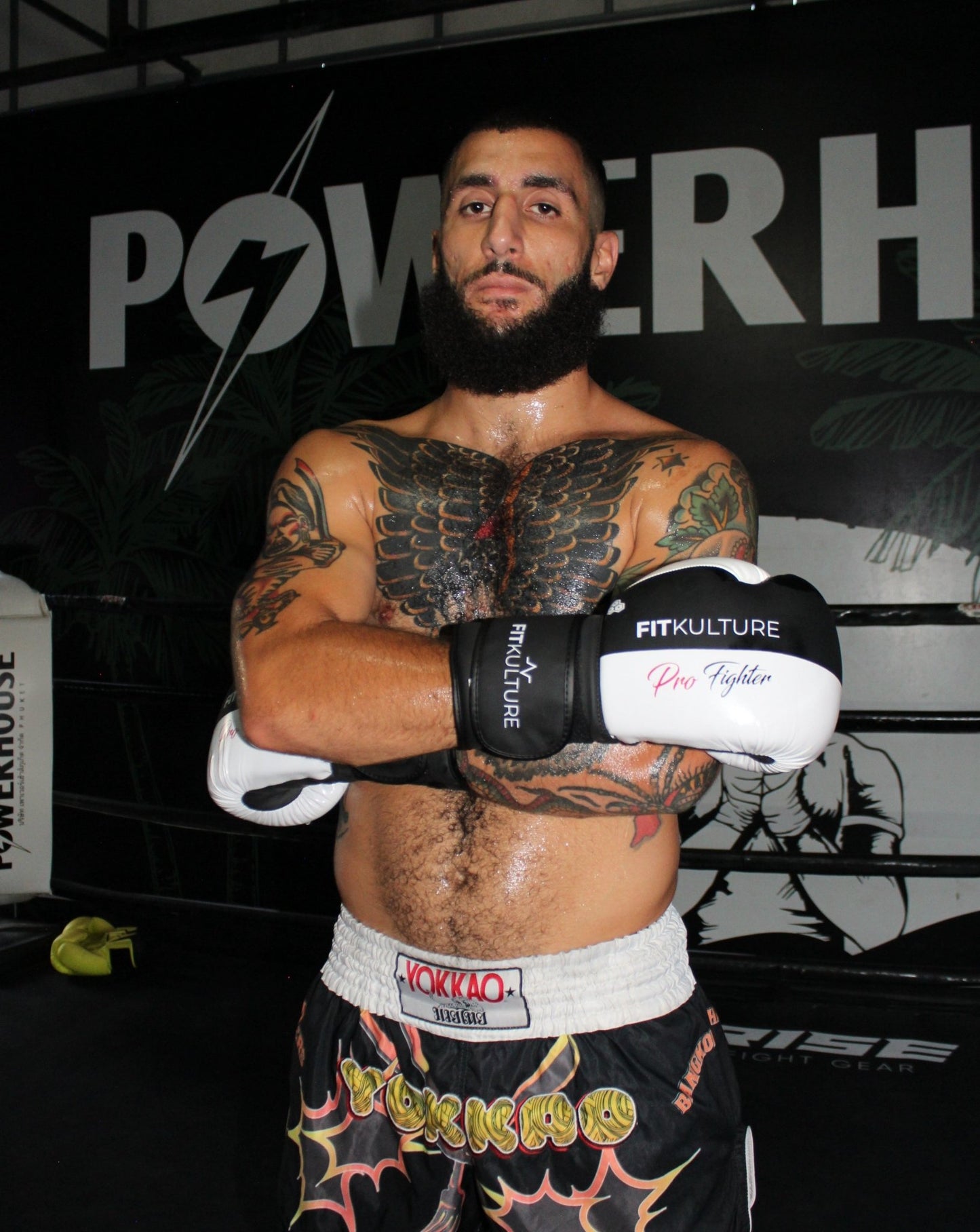 Pro Fighter Boxing Gloves 12oz - Fit Kulture HQ